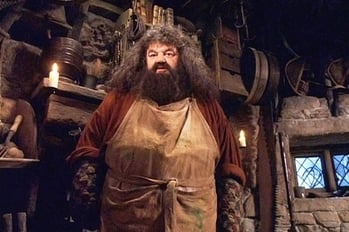 Hagrid2-721358-edited.jpg