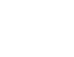 PopulusGroup_Plane_Logo_400.png