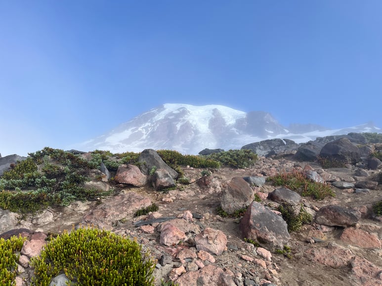 mt rainier 2